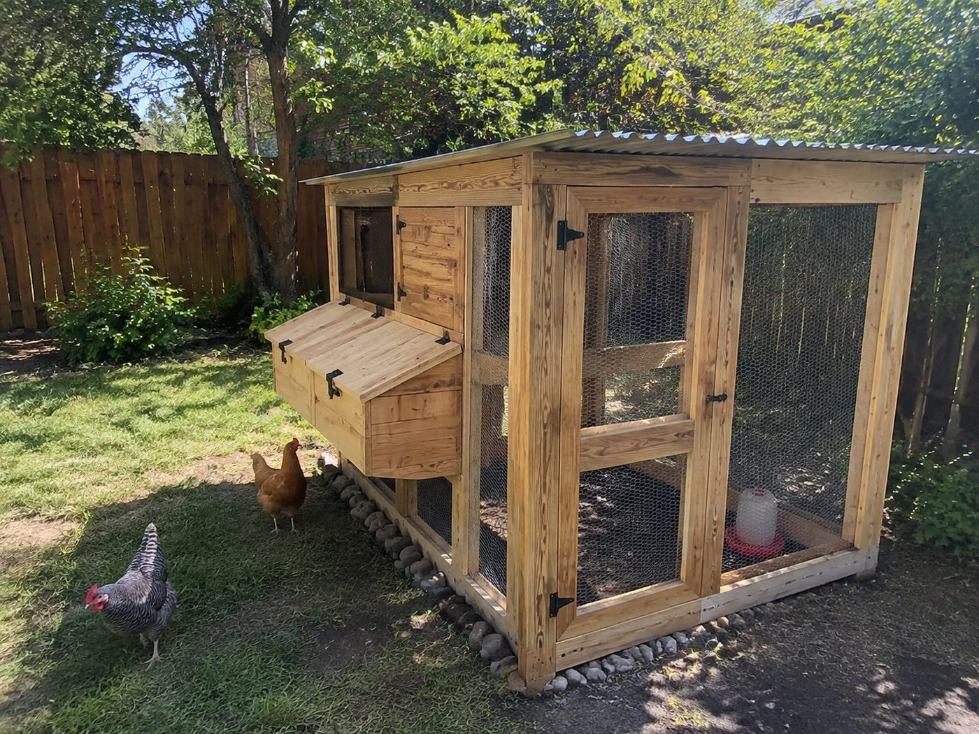 New backyard chicken coop