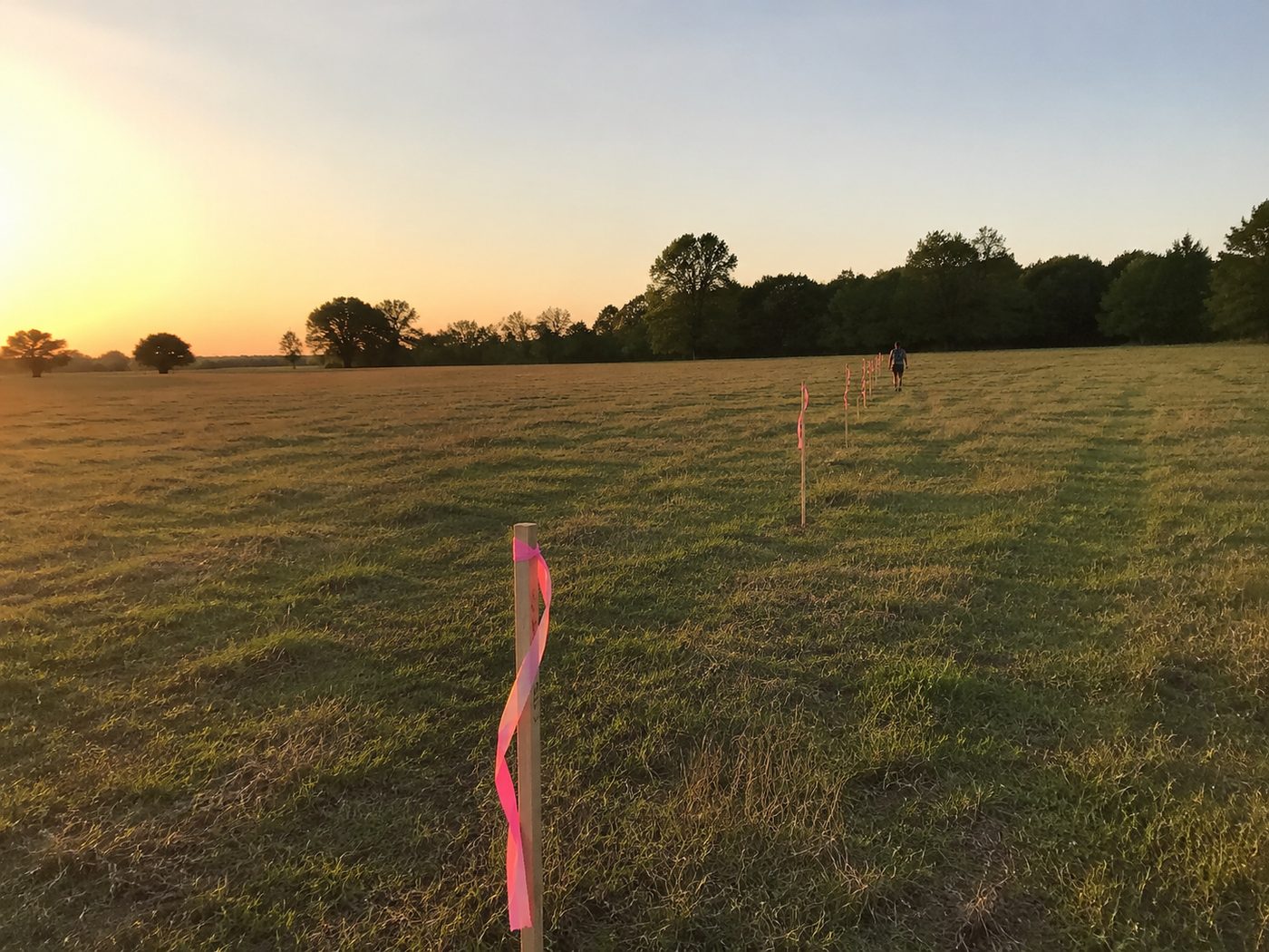 5-acre field staked out with survey flags