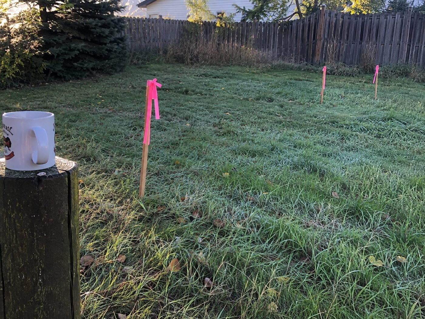 Survey stakes freshly placed in the yard